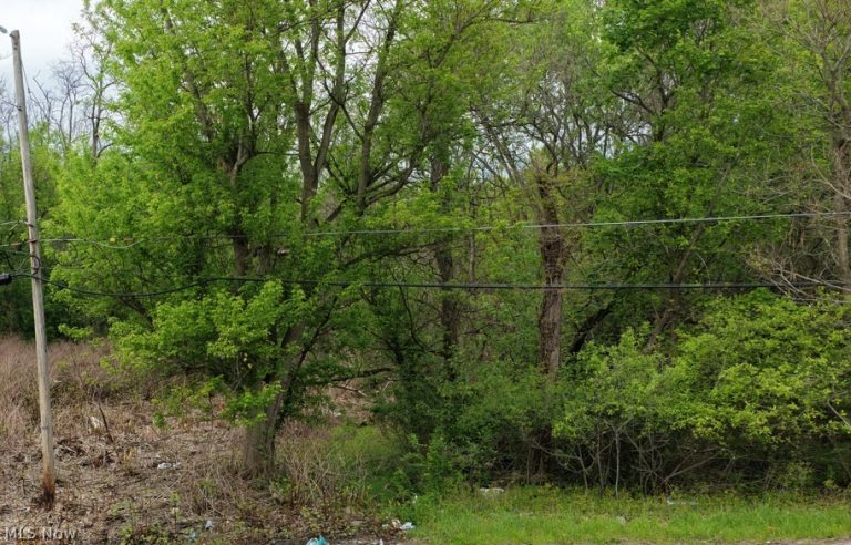 Montgomery Avenue, Campbell, OH, 44506