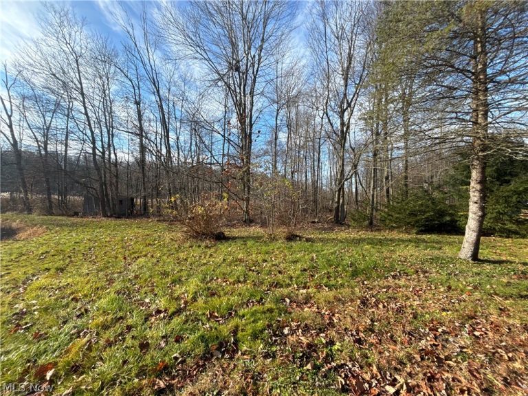 10785 Bell Road, Newbury, OH - Photo 8
