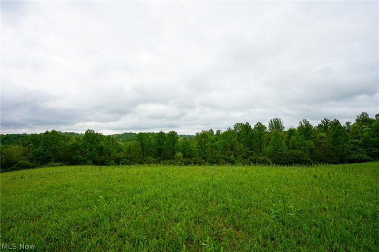 Van Fossen Ln, Chesterhill, OH - Photo 3