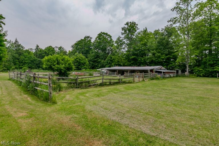 7250 Brakeman Road, Painesville Twp, OH, 44077