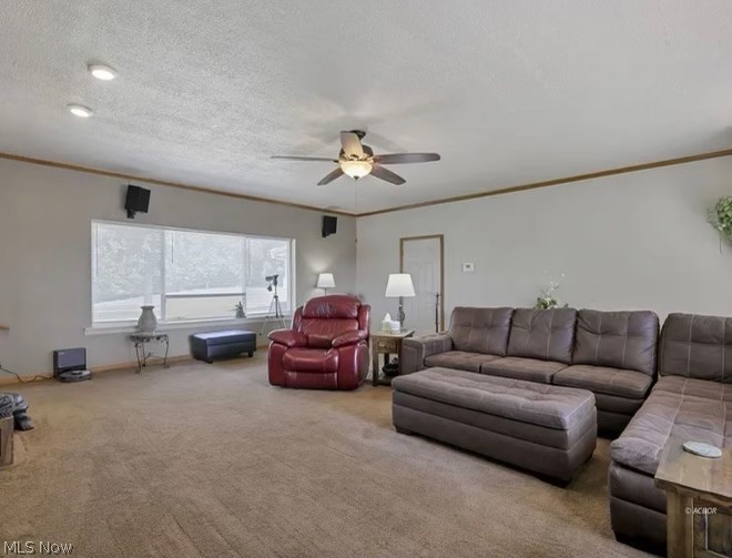 3601 Coolville Station Road, Coolville, OH - Photo 8