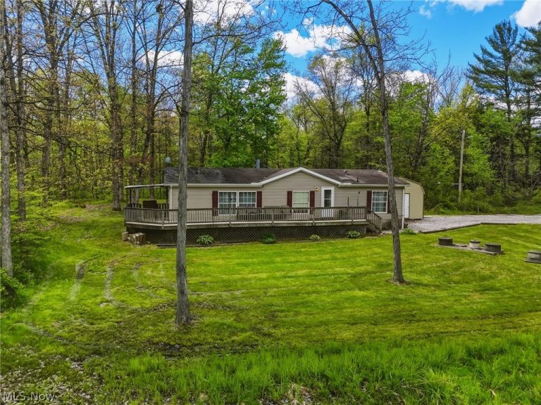 4613 Lake Road, West Farmington, OH - Photo 2