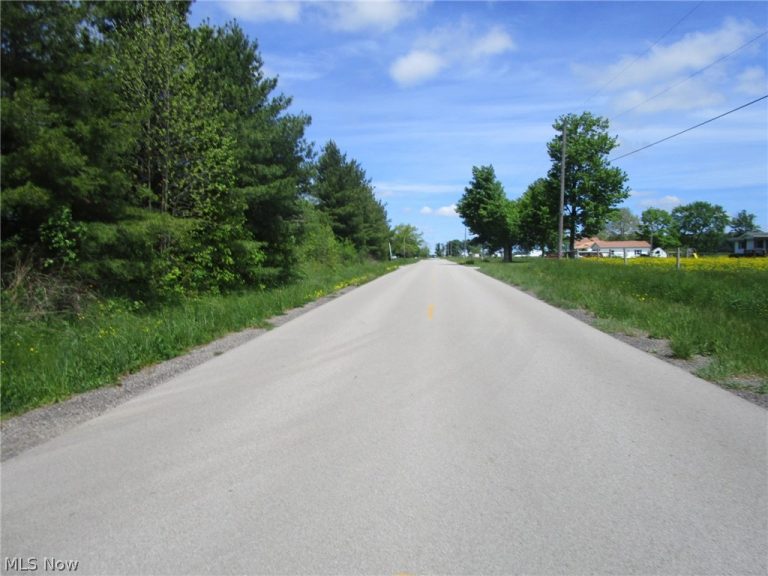 VL Doyle Road, Jefferson, OH, 44047