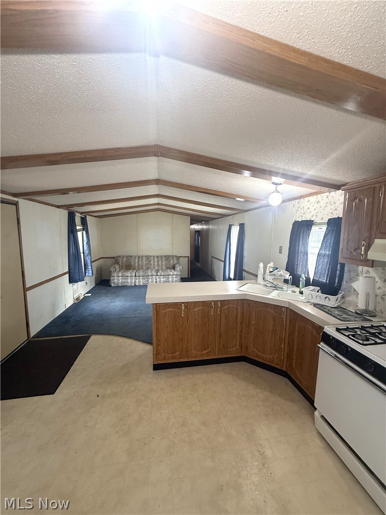 26240 Broadway Avenue, Oakwood Village, OH - Photo 5