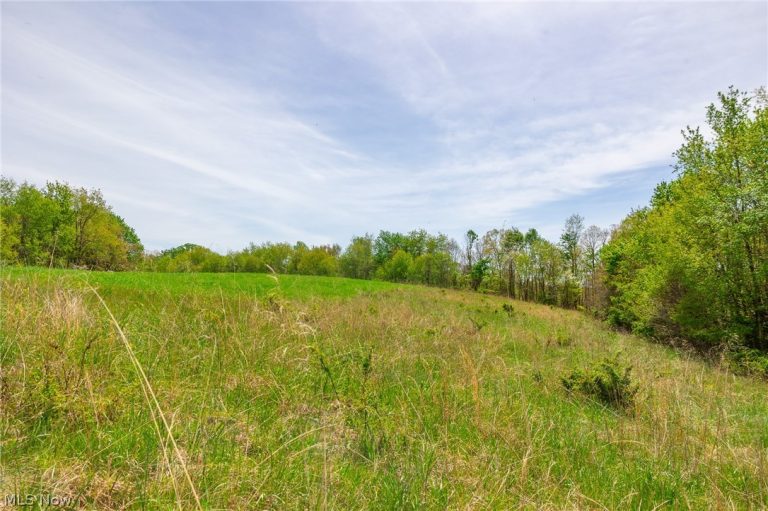 6268 Kings Ridge Road, Newcomerstown, OH - Photo 5