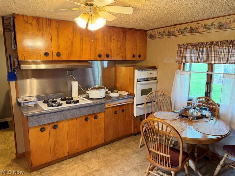 59 Buckeye Street, West Salem, OH - Photo 8
