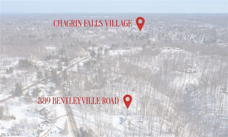389 Bentleyville Road, Moreland Hills, OH - Photo 6