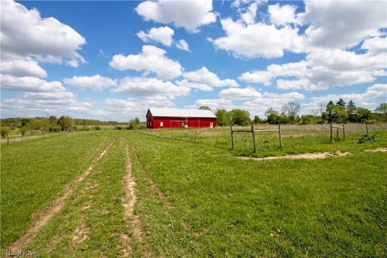 00 Firestone Rd, Spencer, OH - Photo 3