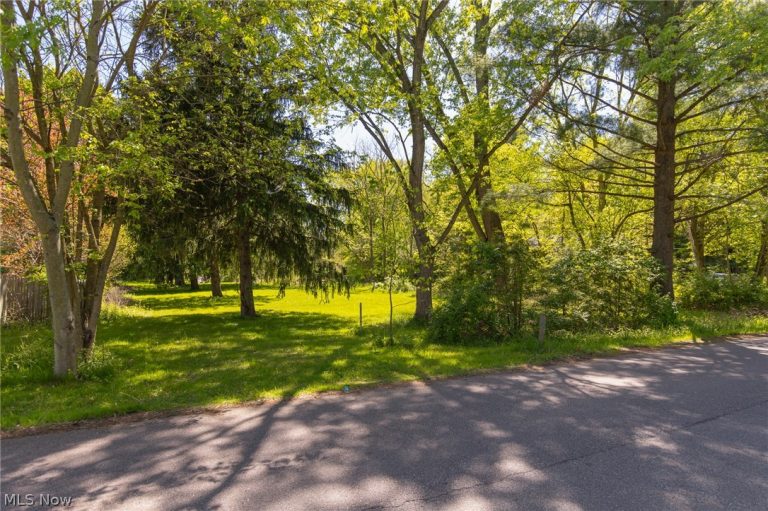 1312 Morse V/L Street, Akron, OH - Photo 4