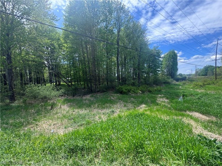 V-L Parkman Road, Windham, OH - Photo 6