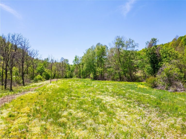 37500 Goose Run Road, Dexter City, OH - Photo 2
