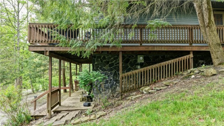 33722 Goodrich Drive, Piedmont, OH - Photo 3