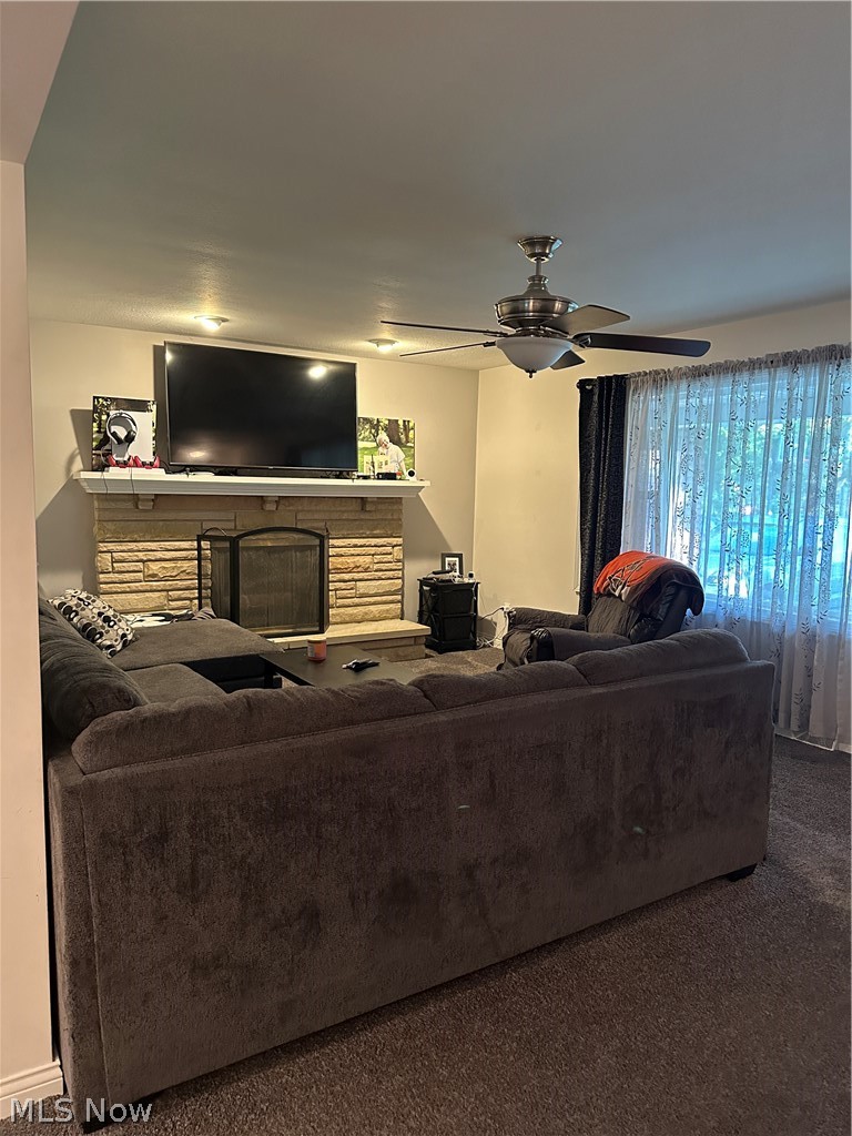 4381 Magnolia Avenue, Perry, OH - Photo 8