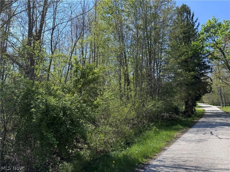 11664 Chestnutdale Road, Chardon, OH - Photo 8