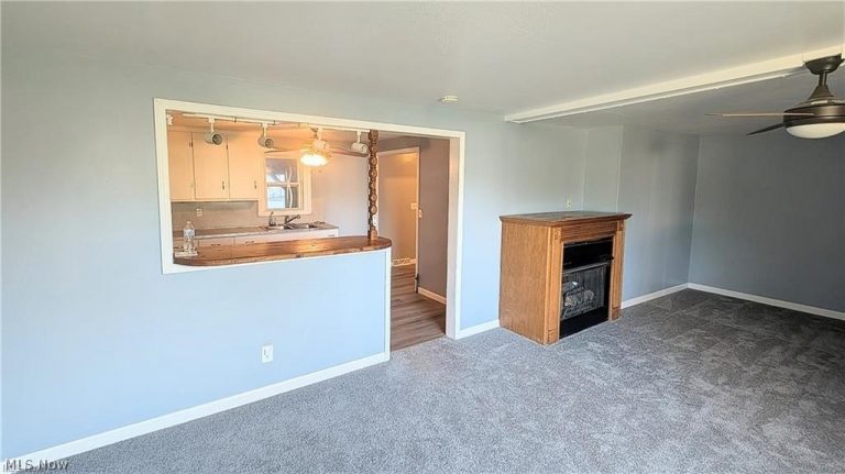 495 Texas Avenue, Sebring, OH - Photo 3