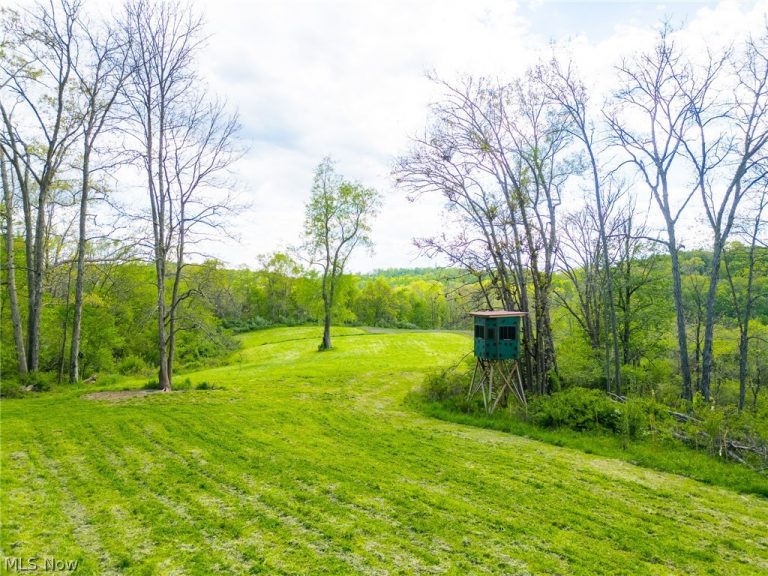 69800 Skull Fork Rd, Freeport, OH - Photo 5
