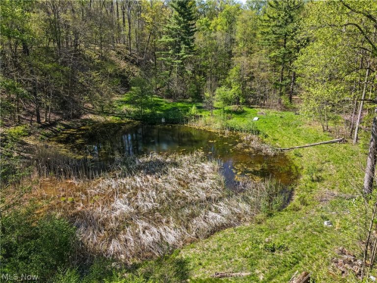 12376 Heath Road, Chesterland, OH - Photo 3