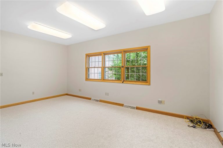 6065 Saint Elia Court, Canfield, OH - Photo 8