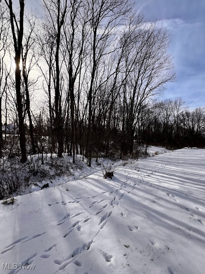 V/L Hartman Road, Wadsworth, OH, 44281