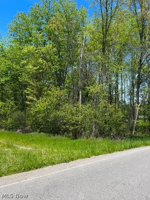 8086 S Raccoon Road, Canfield, OH - Photo 3