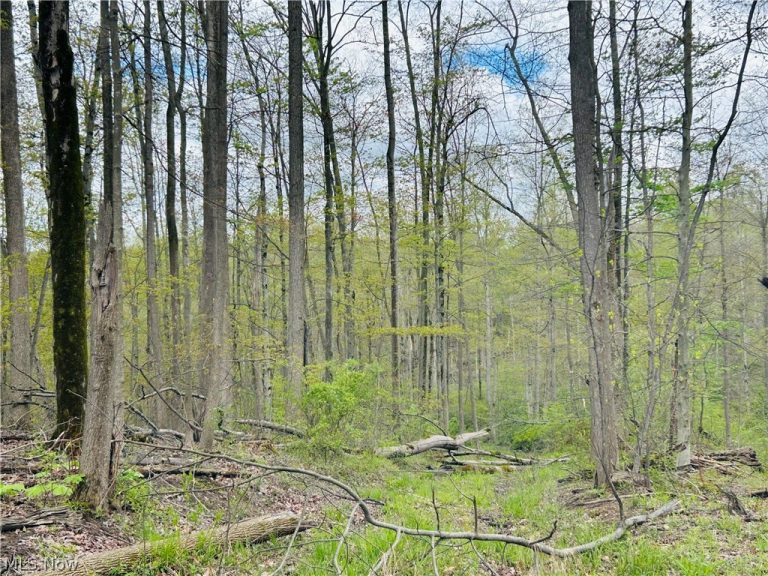 Auburn Road, Newbury, OH - Photo 8