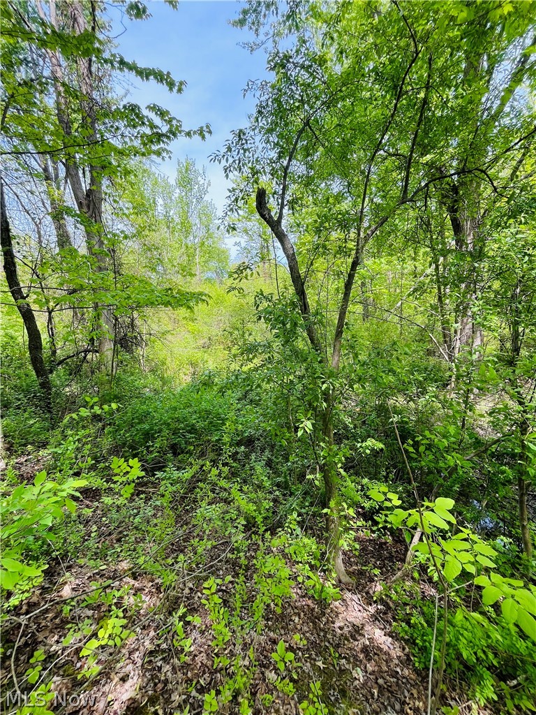 Bates Road, Madison, OH - Photo 4