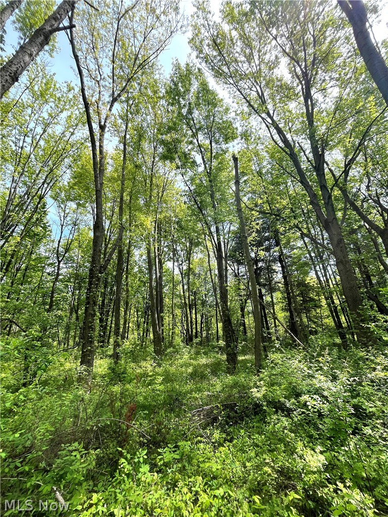 Bates Road, Madison, OH - Photo 6