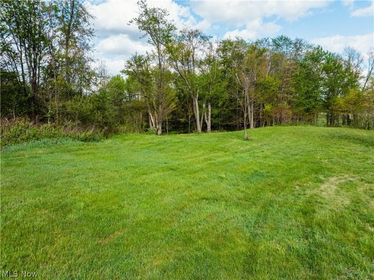 8089 Nebraska Road, Dundee, OH - Photo 8