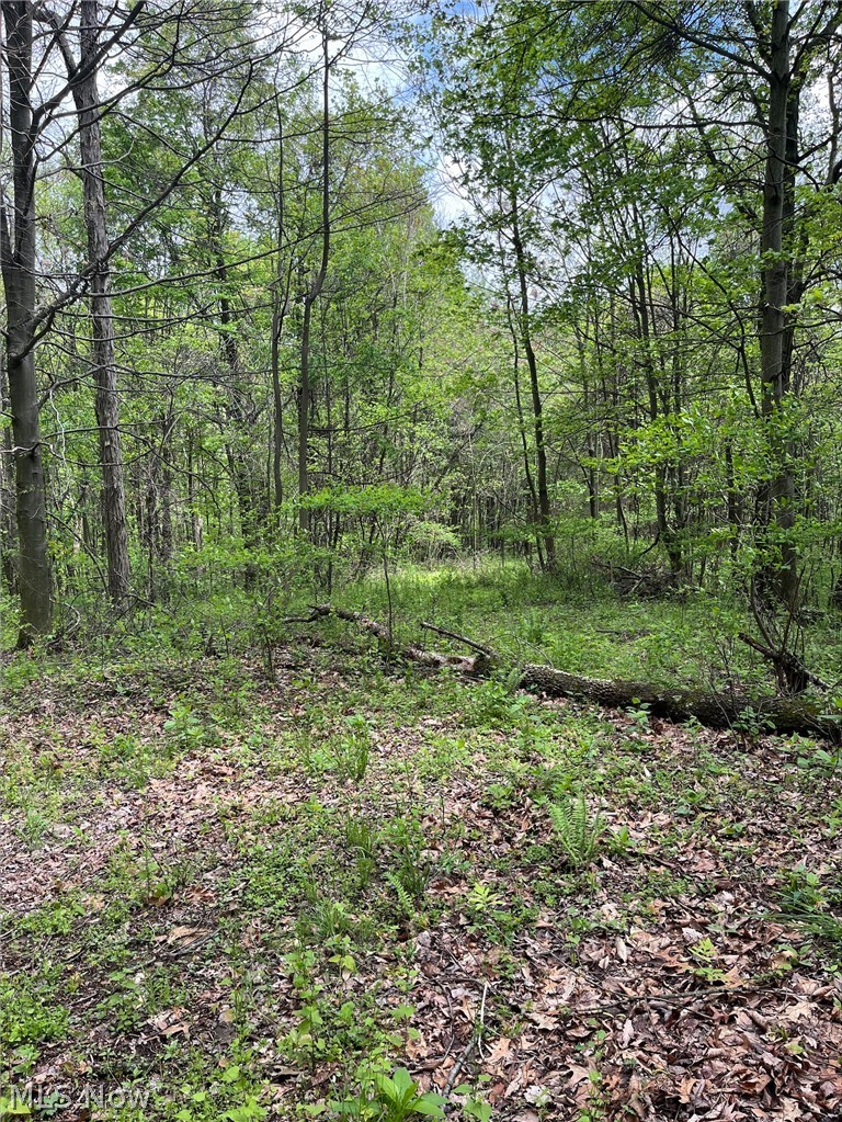 Sandy Ridge Road, Tippecanoe, OH - Photo 3
