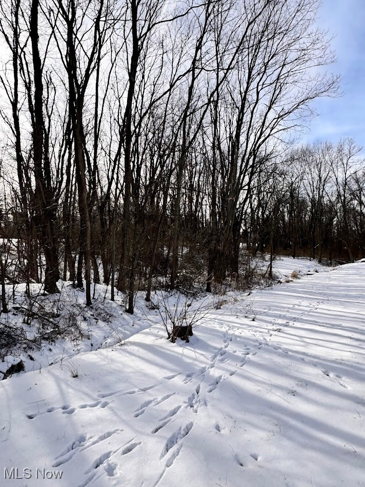 V/L Hartman Road, Wadsworth, OH - Photo 4