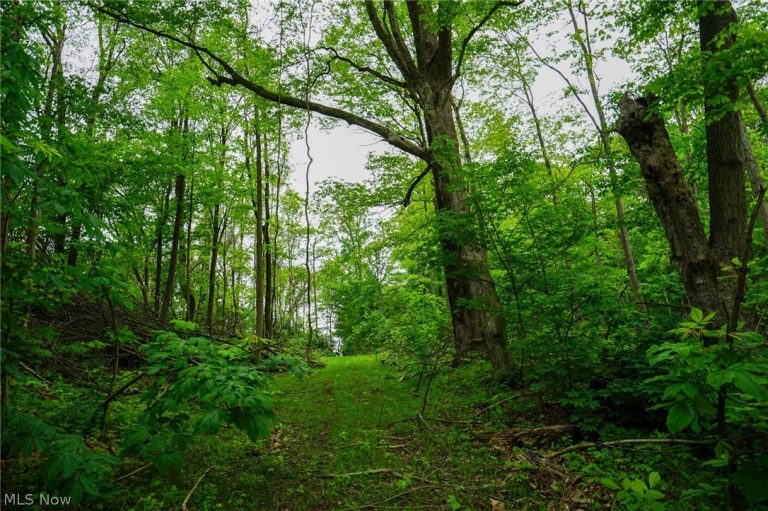 Ervin Ln, Stockport, OH - Photo 5