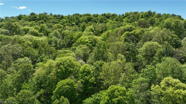 8261 Glendale Road, Cairo, WV - Photo 8