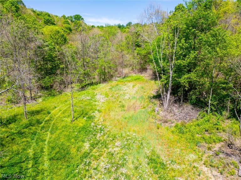 37500 Goose Run Road, Dexter City, OH - Photo 4
