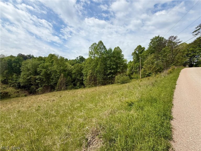 County Line Road, St Marys, WV - Photo 2