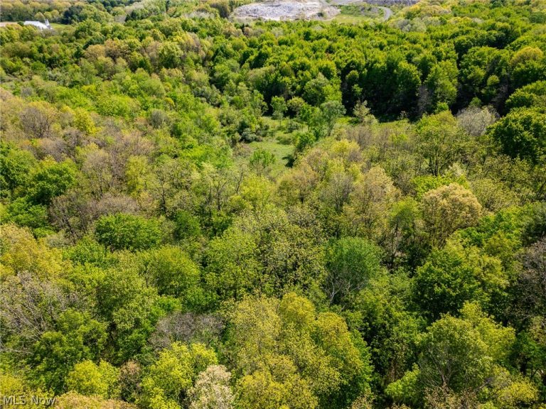 11154 Shetler Avenue, Bolivar, OH - Photo 4