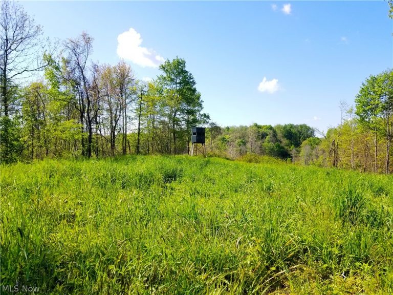 Patton Road, Jewett, OH - Photo 8