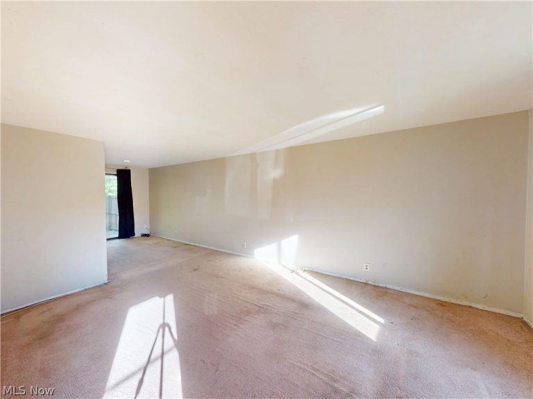 1651 Mentor Avenue #808, Painesville, OH - Photo 3