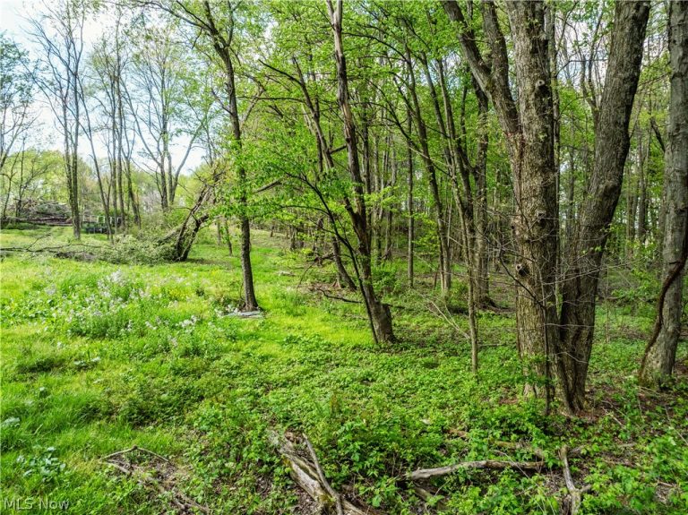8480 Possum Hollow Road, Dundee, OH - Photo 2
