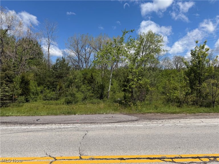 1055 Edgerton Road, Broadview Heights, OH, 44147