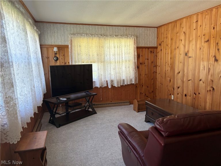 303 Main Street, Andover, OH - Photo 8