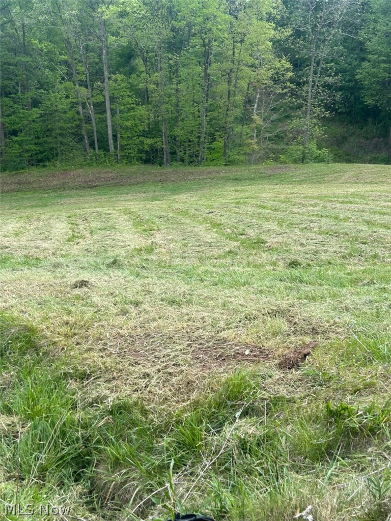 County Line Road, St Marys, WV, 26170
