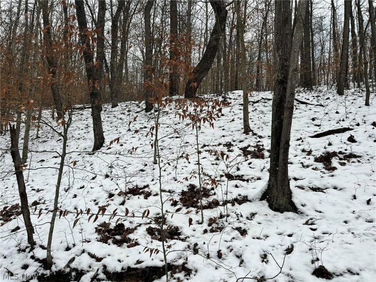 Rt 29/1 Grannies Creek RD., Clendenin, WV - Photo 6