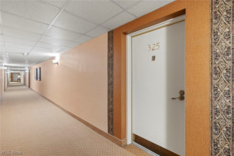 10301 Lake Avenue #325, Cleveland, OH - Photo 4
