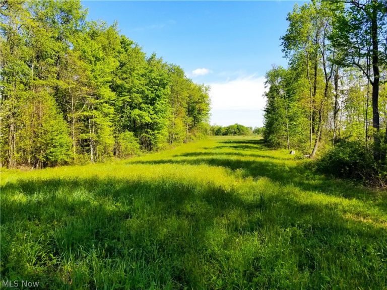 Patton Road, Jewett, OH - Photo 5