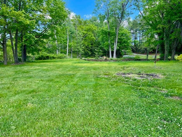 2062 Dupont Road, Parkersburg, WV - Photo 3