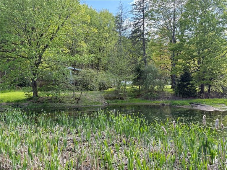 10633 Sherman Road, Chardon, OH - Photo 4