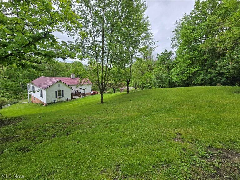 67480 Plum Street, Bridgeport, OH - Photo 4