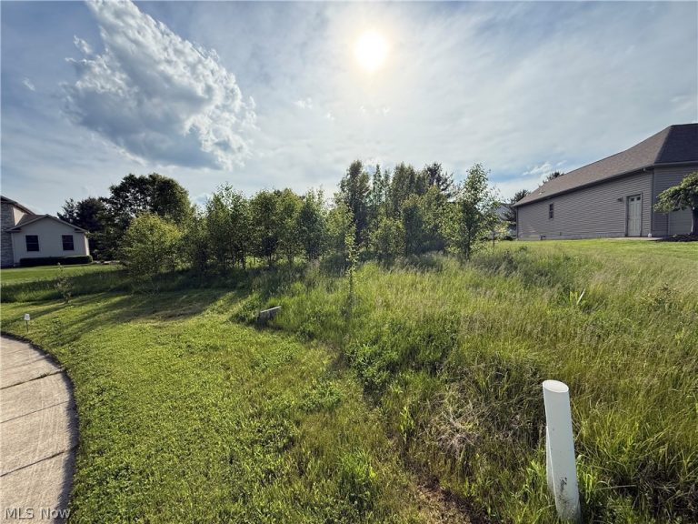 40 Woodland Run, Canfield, OH - Photo 2