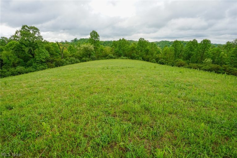 Van Fossen Ln, Chesterhill, OH - Photo 6