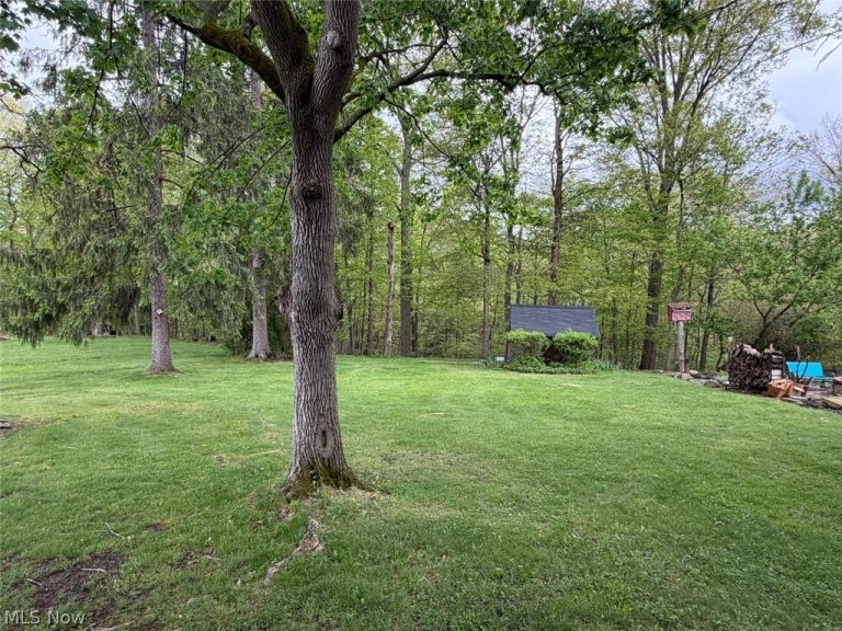 1034 Pasadena Avenue, Elyria, OH - Photo 4